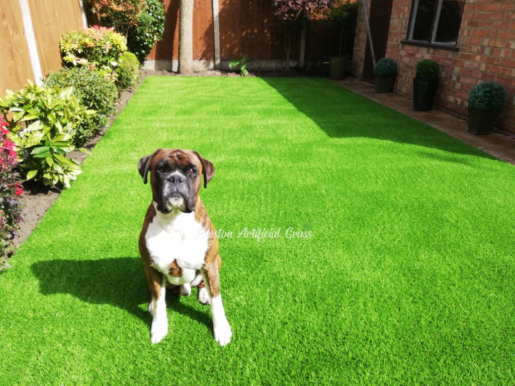 Preston Artificial Grass for dogs scaled